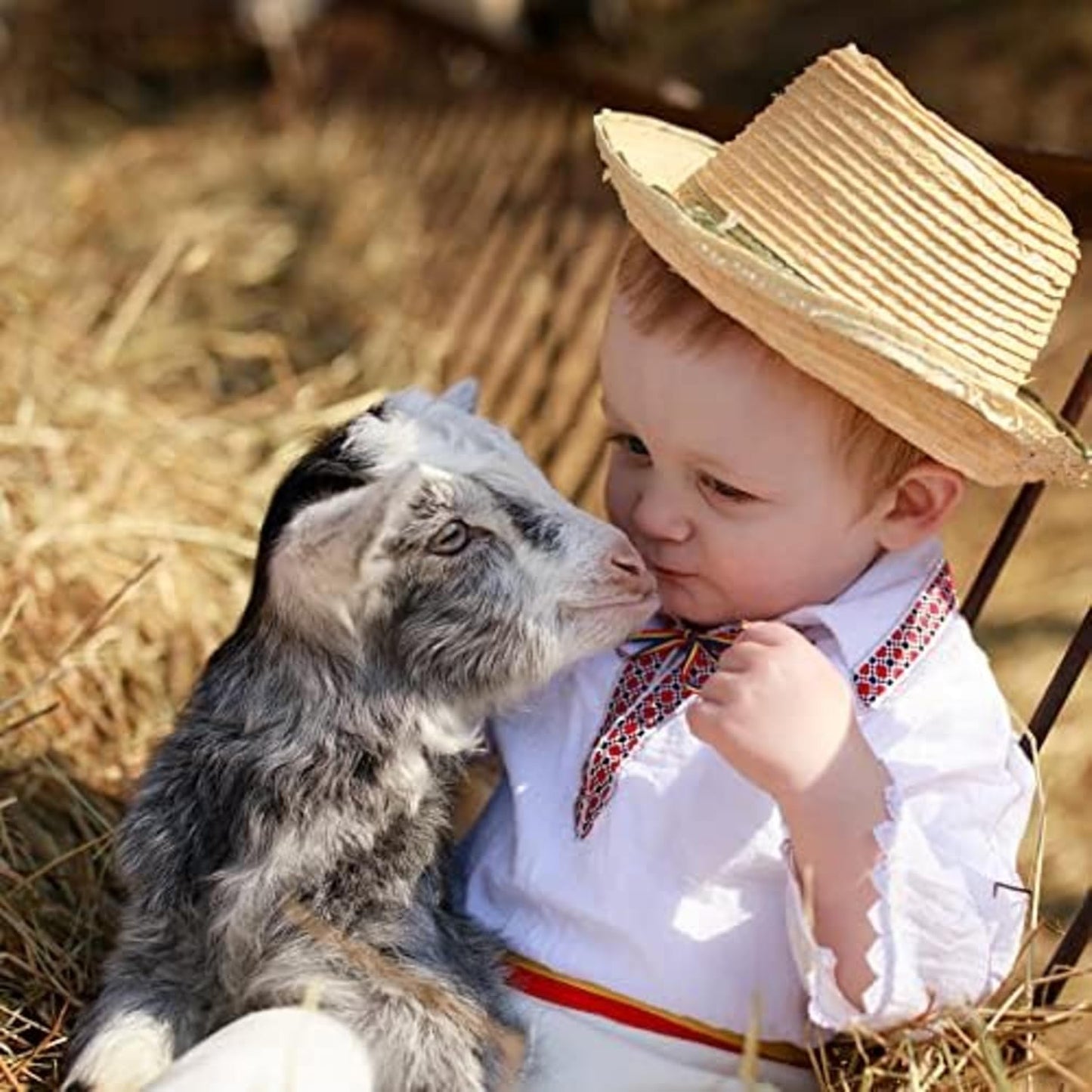 Blue Mountain Hay | Fresh Alfalfa Hay (48 Ounce) | High Leaf Retention | Nutritious High-Altitude Hay Pet Food for Rabbits, Guinea Pigs, Chinchillas, Hamsters, and Other Small Pets