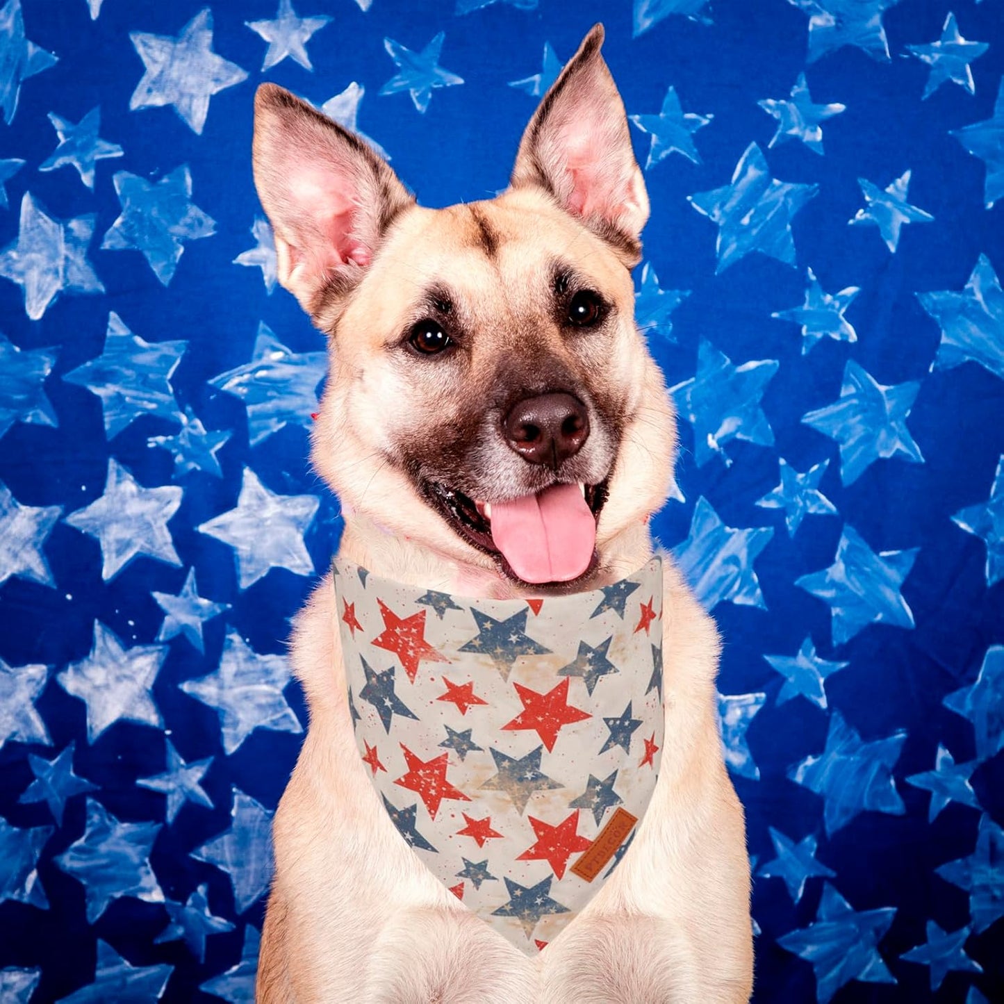 PTDECOR American Flag Dog Bandana Flag Stars Patterns, Patriotic Pet Scarf Reversible Triangle 4th of July Bandanas for Small Dogs Pets (Small)