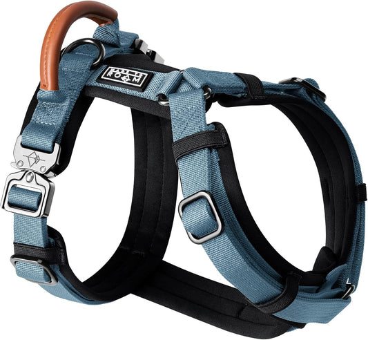 MADE TO ROAM Premium Explorer Harness - Y-Shaped Dog Harness with Adjustable Durable Nylon, Soft Padding, Metal Buckles and Leather Handle for Small, Medium, Large Dogs (California Horizon, Size 6)