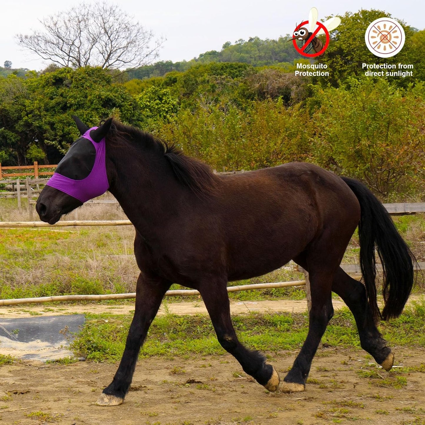 2 Piece Horse Fly Mask with Ears, Comfortable Fit Stretch Fabric Big Eye Space Soft Breathable with UV Protection for Full Horses (Purple-Gray)