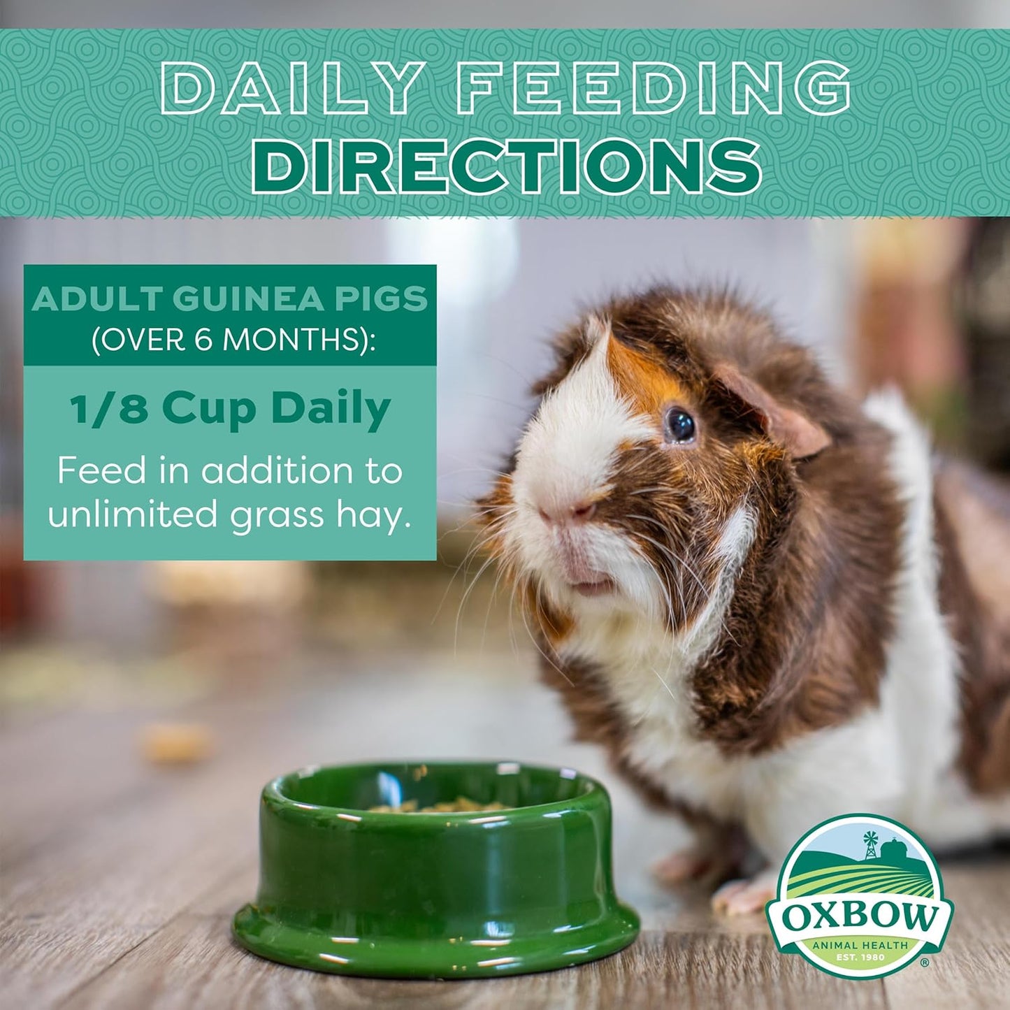 Oxbow Essentials Guinea Pig Food, Adult Guinea Pig, Made with Oxbow Timothy Hay, Pet Food Pellets with Vitamin C, Small Animal Pet Products, Made in USA, High Fiber, 5 lb. bag