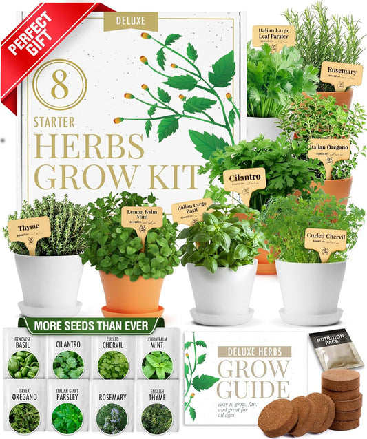 HOME GROWN 𝗣𝗥𝗘𝗠𝗜𝗨𝗠 𝗛𝗘𝗥𝗕 𝗞𝗜𝗧 8 Herb Seeds Garden Kit, Complete Indoor Planter Gift with Basil Cilantro Mint & More, Unique Kitchen Growing Set for Women Men, Birthday Housewarming Present