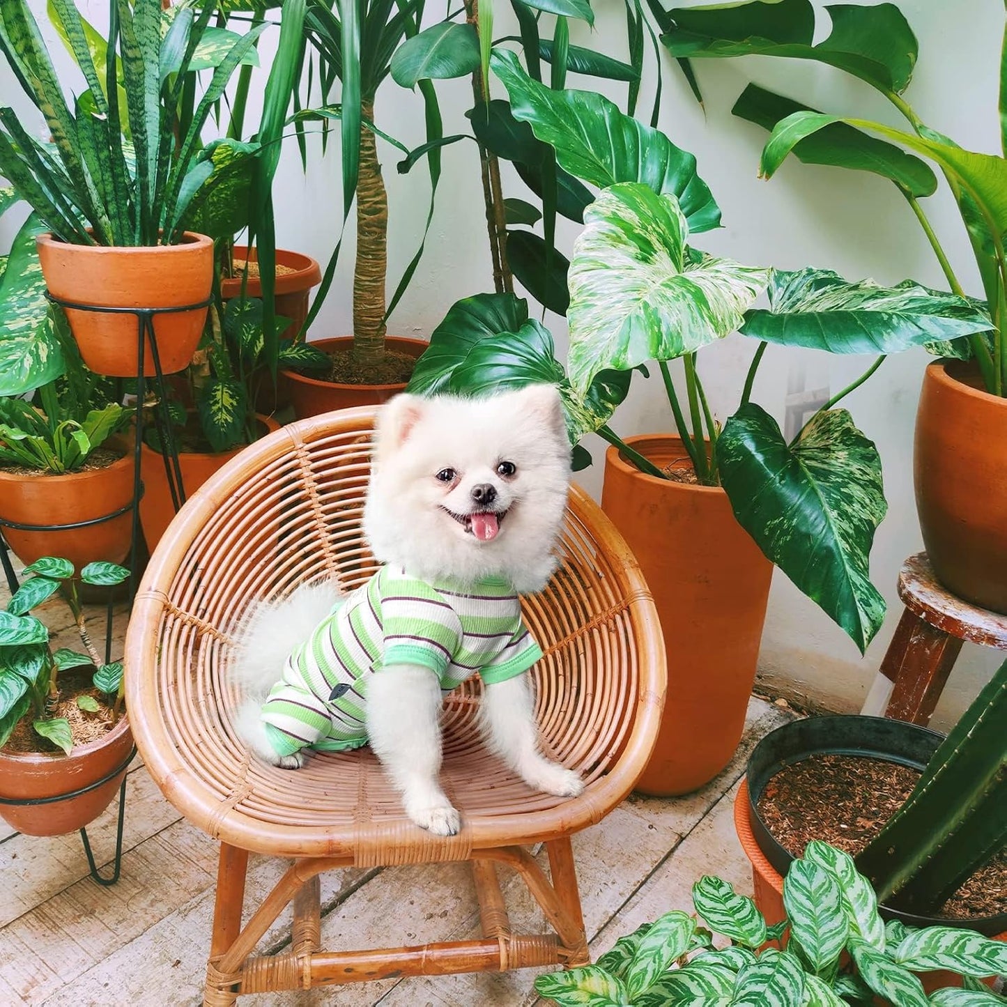 TONY HOBY Dog Pajamas, Male Dog Jumpsuit with Green Stripe, Dogs Clothes for Small Medium Size Dogs (Green&White, Boy, L)