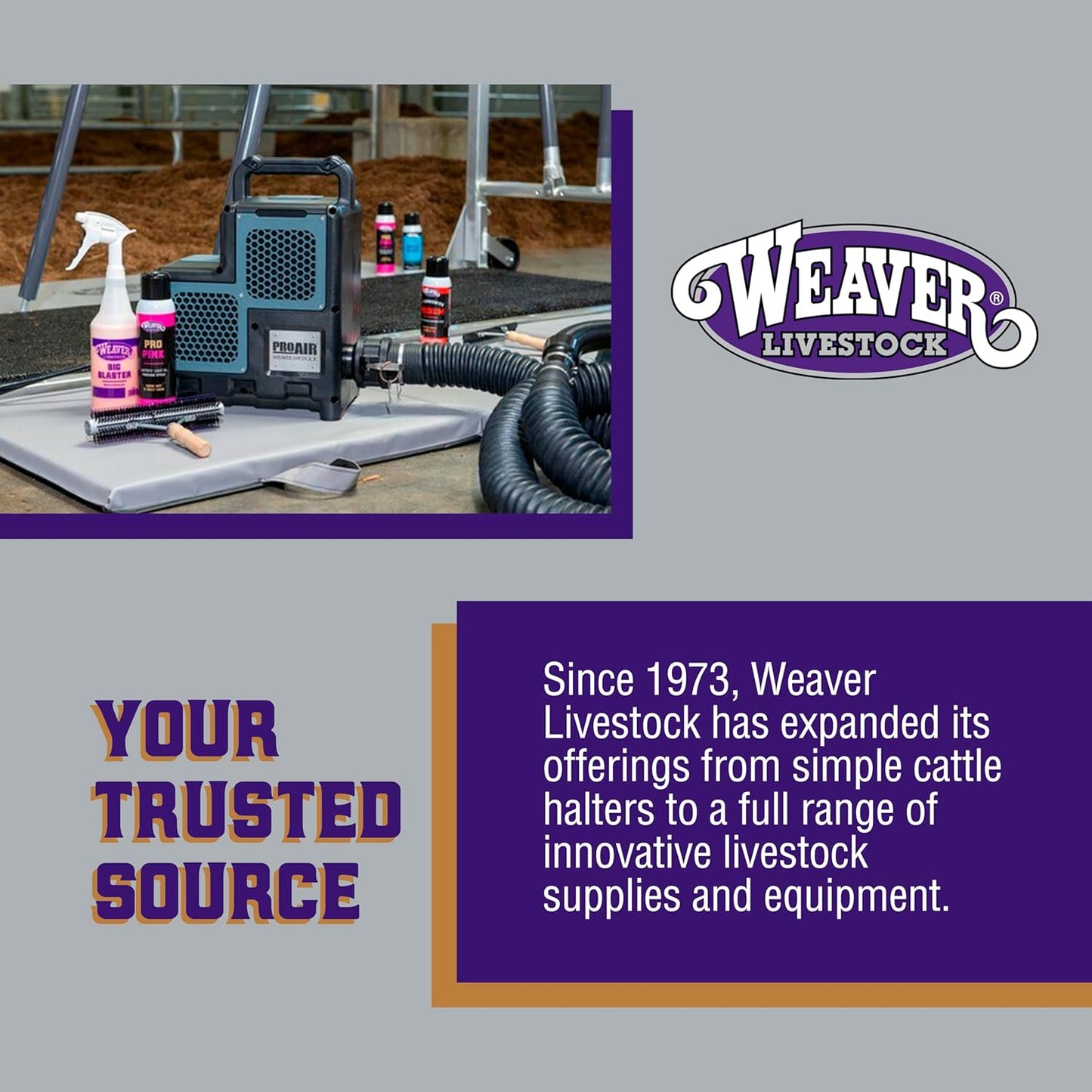 Weaver Leather Livestock Cattle Poly Rope Halter Dark Blue/Turquoise/Gray