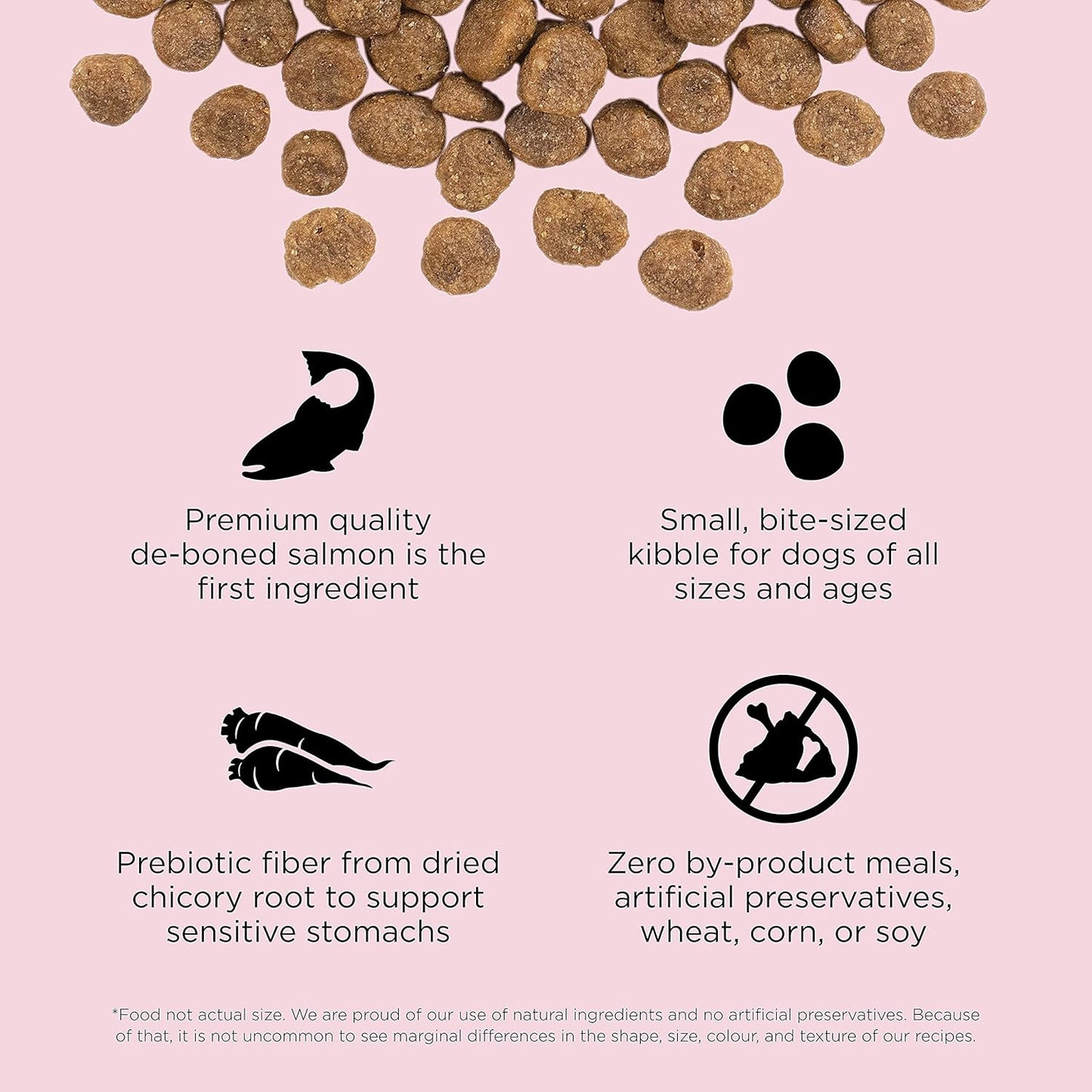 Go! Solutions Sensitivities Limited Ingredients, Grain-Free Dry Dog Food, Small Bites Salmon Recipe for Sensitive Stomach, 22 lb Bag