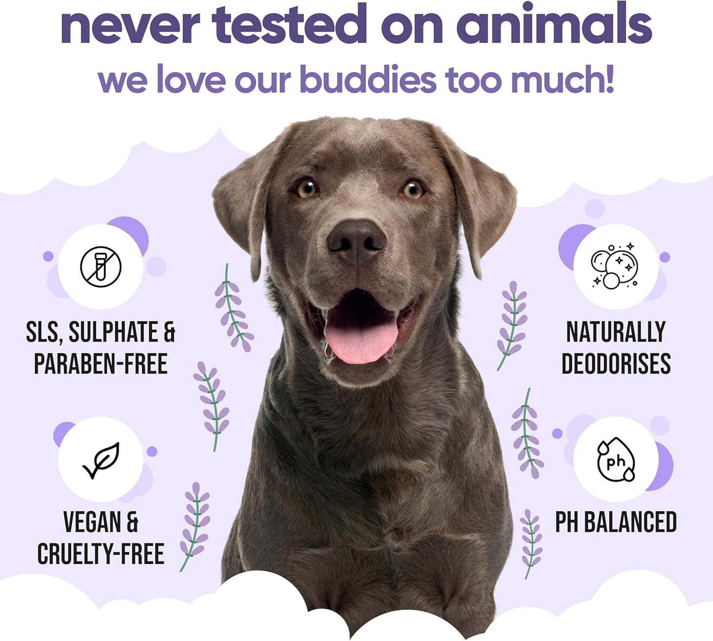 Calming & Deodorising Dog Shampoo by Buddycare | Lavender Scented | with Aloe Vera and Pro Vitamin B5 (169.07oz)