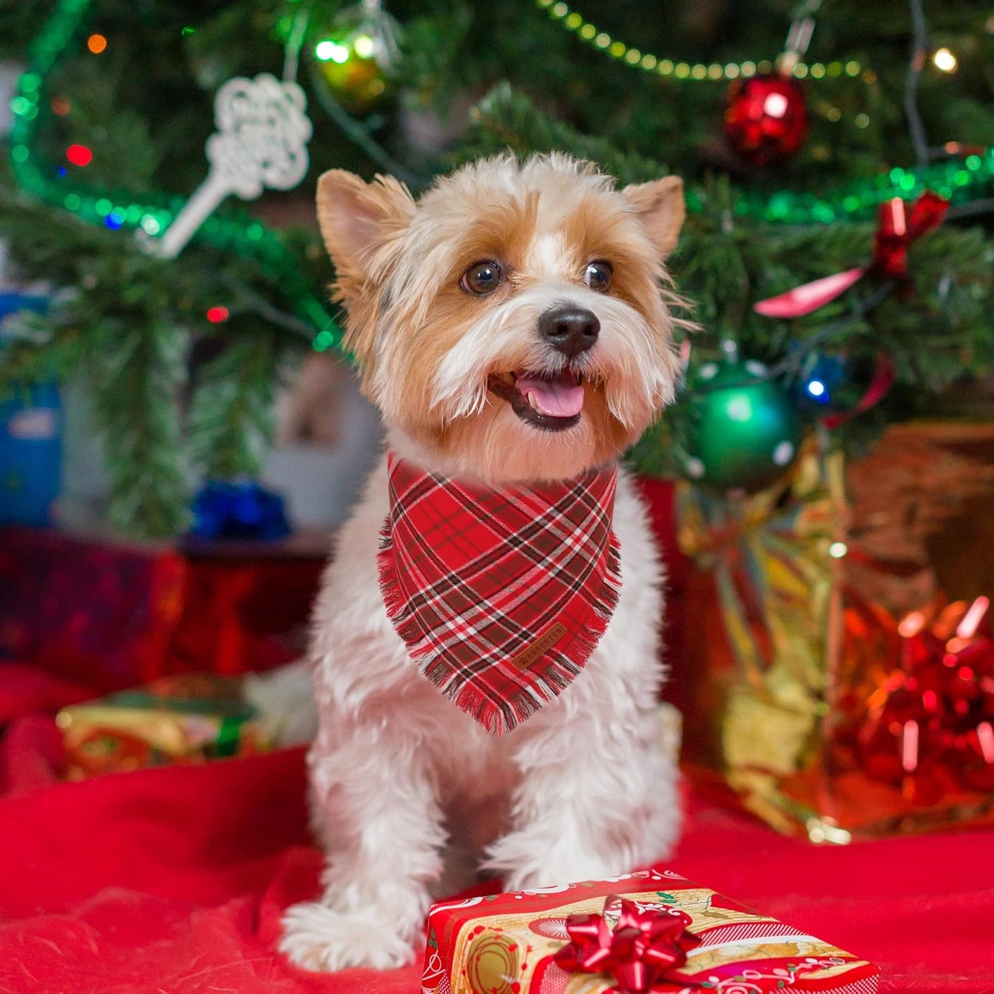 ADOGGYGO Christmas Dog Bandanas with Tassels Edges, Stylish Red Plaid Xmas Scarf, Multiple Sizes, Christmas Bandanas for Small Dogs (Small)