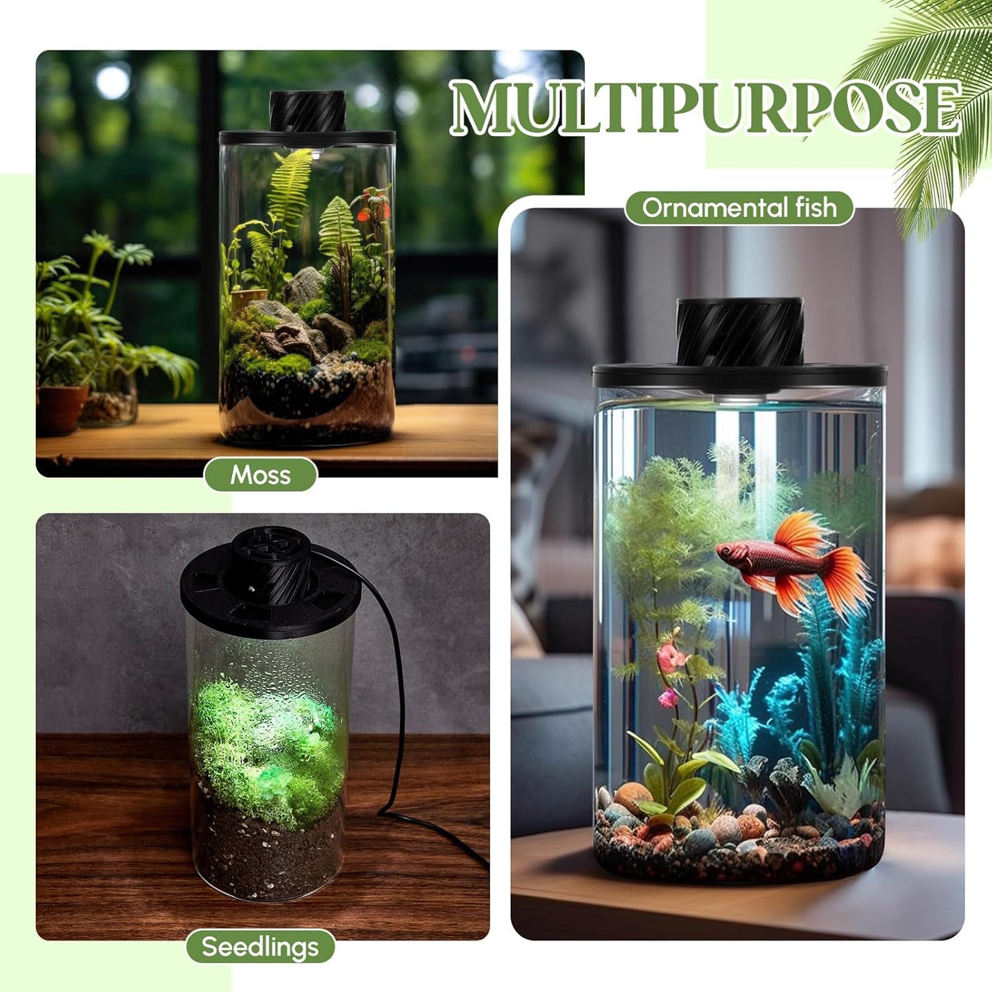 Maxdot Glass Plant Terrarium Kit with Light for Succulent, Moss, Miniature Gardening Landscape, Betta Fish Tank, Office Home Decoration, Plant Lovers Gifts (7.9 x 3.9 Inch)