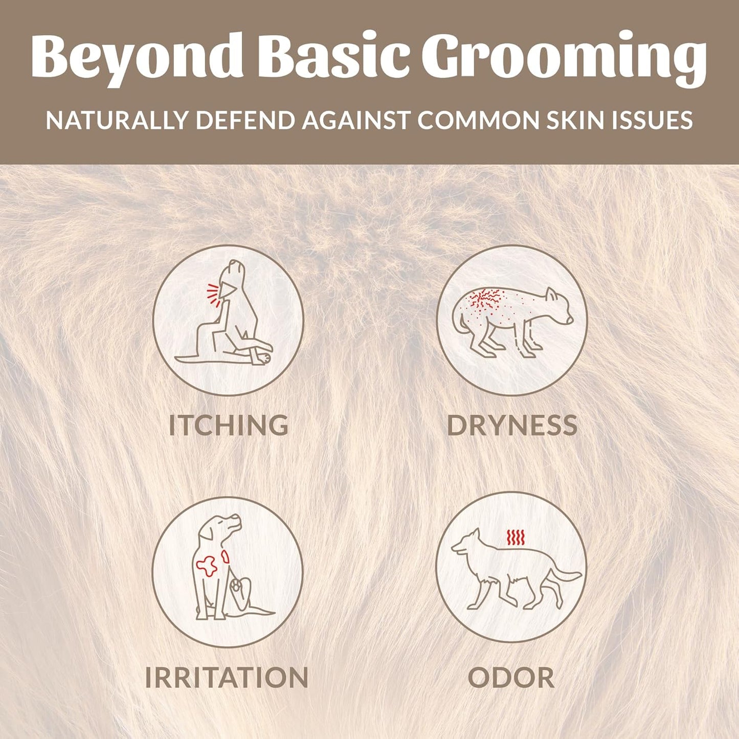 Skout's Honor Probiotic Pet Shampoo & Conditioner with Avocado Oil & Omega-3s, 97% Natural, Paraben & Sulfate-Free, Cruelty-Free, 16oz, Dog of The Woods, 2-Pack