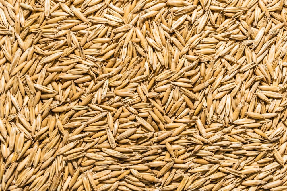 Thunder Acres Non GMO, Certified Organic, Oat Seed (1/2 lb.)