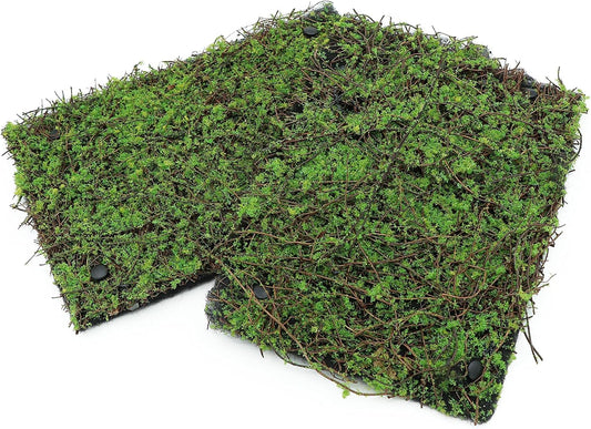 AQUA KT Terrarium Moss Background Backdrop Wall Artificial Reptile Amphibian Cage Decoration for Lizard Bearded Dragon Snake Frog Chameleon Climbing, Pack of 2