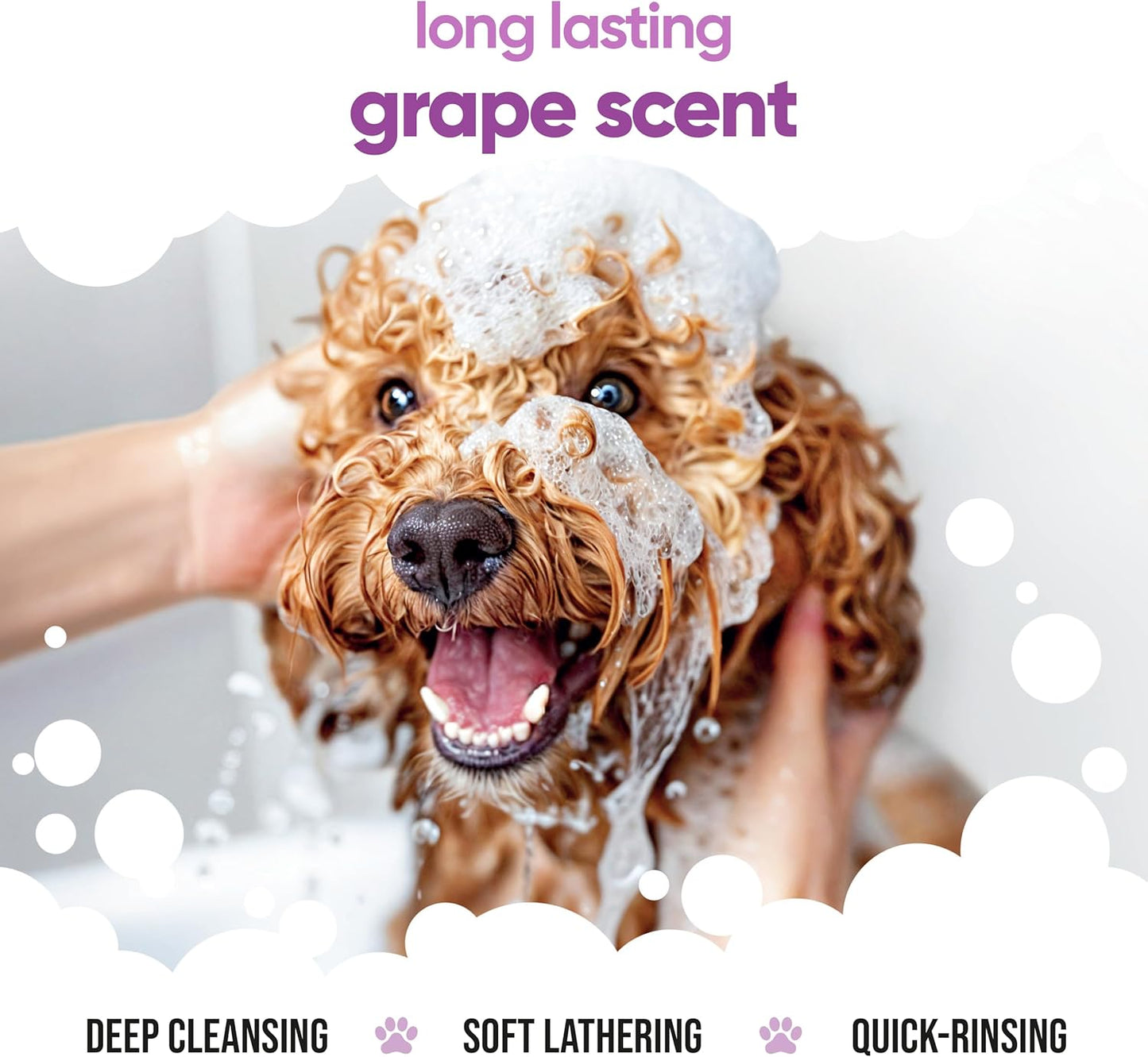 Grape Scented Puppy Shampoo by Buddycare | For Smelly Dogs from 8 Weeks | Aloe Vera & Pro Vitamin B5 (16.90oz)