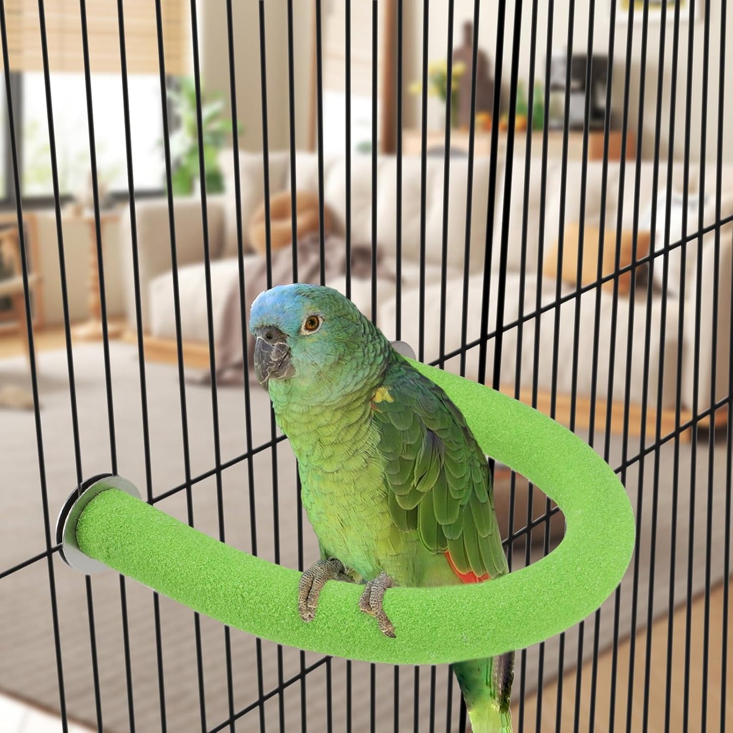 Rypet U Shape Parrot Perch Stand Toy for Paw Grinding Clean Stick Exercise, Rough-Surfaced Quartz Bird Perch Standing Cage Accessories for for Small Parakeets Cockatiels Conures Macaws Finches(Green)