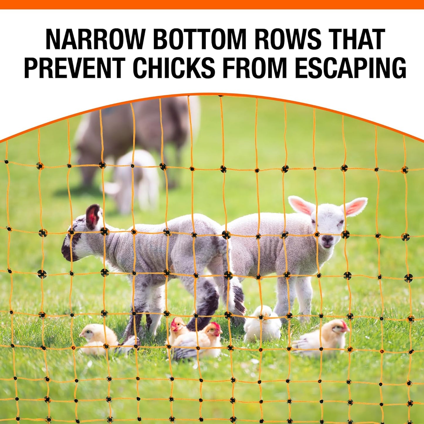 Pet & Livestock HQ Electric Fence Poultry Netting 48" x 164' - Portable Pre-Assembled Electric Net Fencing for Goats, Sheep, Lambs in Farms, Ranches, and Gardens (19 Posts, 2 Spikes)