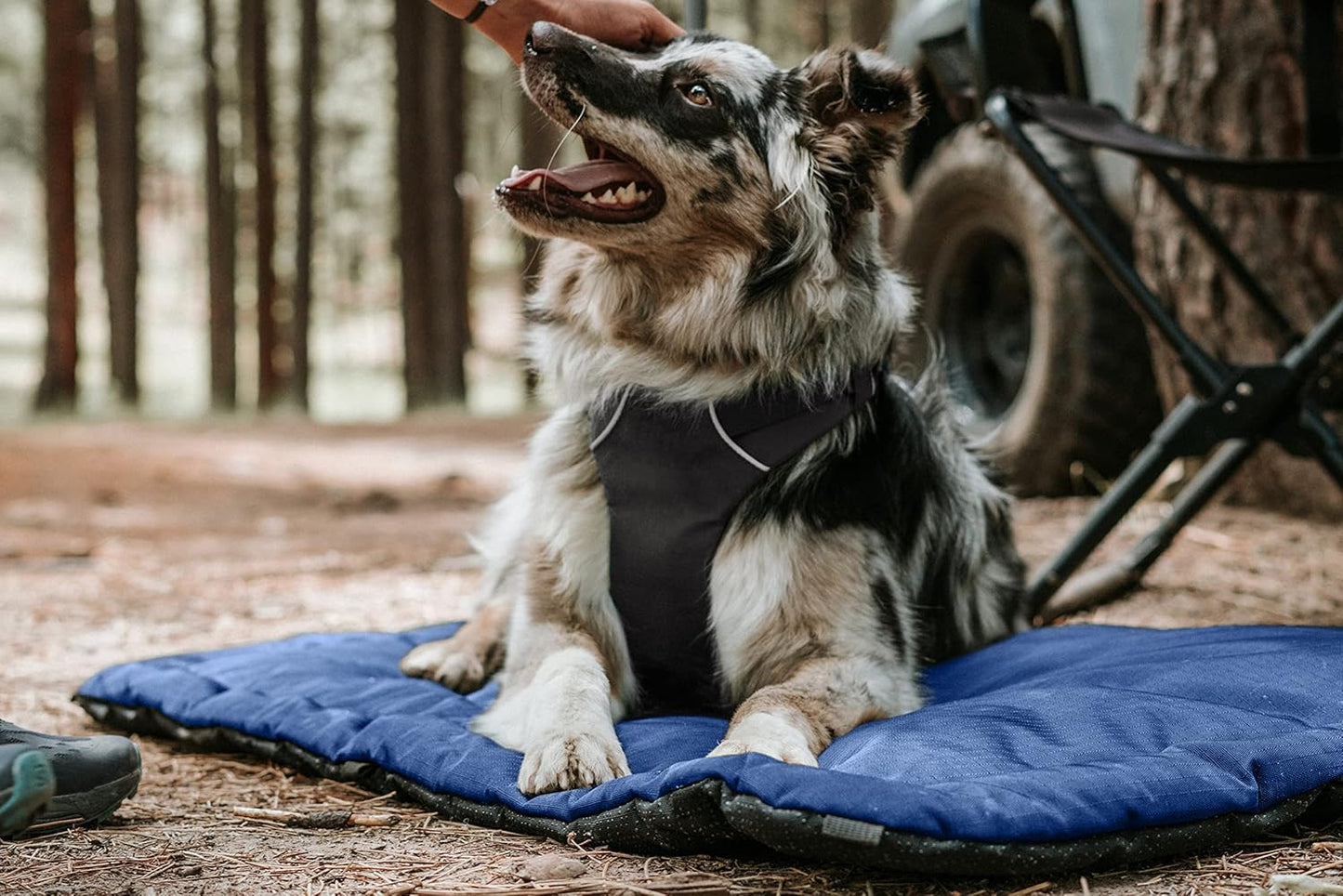 K9 Ballistics Tough Ripstop Dog Crate Pad - Durable & Machine Washable with Non-Skid Bottom and 120-Day Warranty, Fits 48" Wire Crates - X-Large, Sandstone