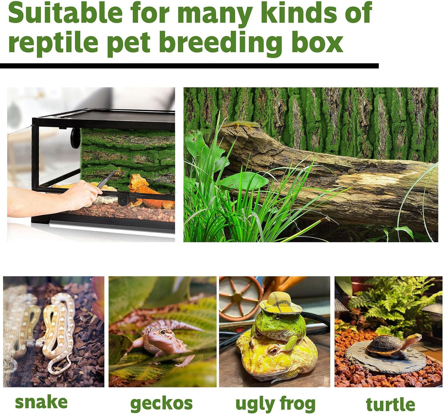 15.75x11.81in Reptile Terrarium Cork Background,Bearded Dragon Tank Bark Backdrop Wall Decor with Artificial Moss for Gecko Lizard Tortoise Frog Chameleon(2Pcs)