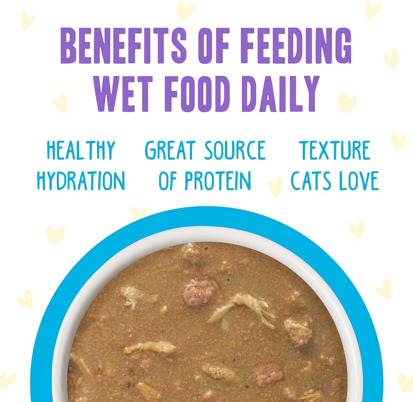 Weruva B.F.F. OMG - Best Feline Friend Oh My Gravy!, Chicken Cloud 9 with Chicken in Gravy, 2.8oz Can (Pack of 12)