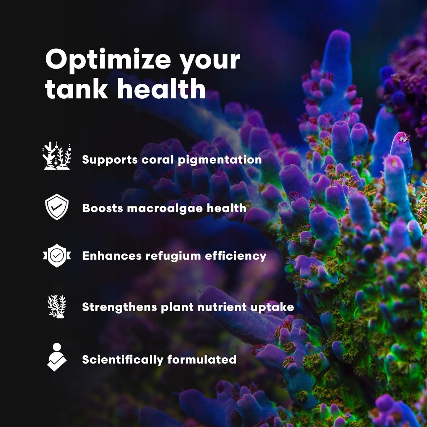 Brightwell Aquatics Ferrion – Concentrated Iron Supplement for Macroalgae, Coralline Algae & Reef Plants – Supports Coral Health – Ideal for Marine Systems, 2L