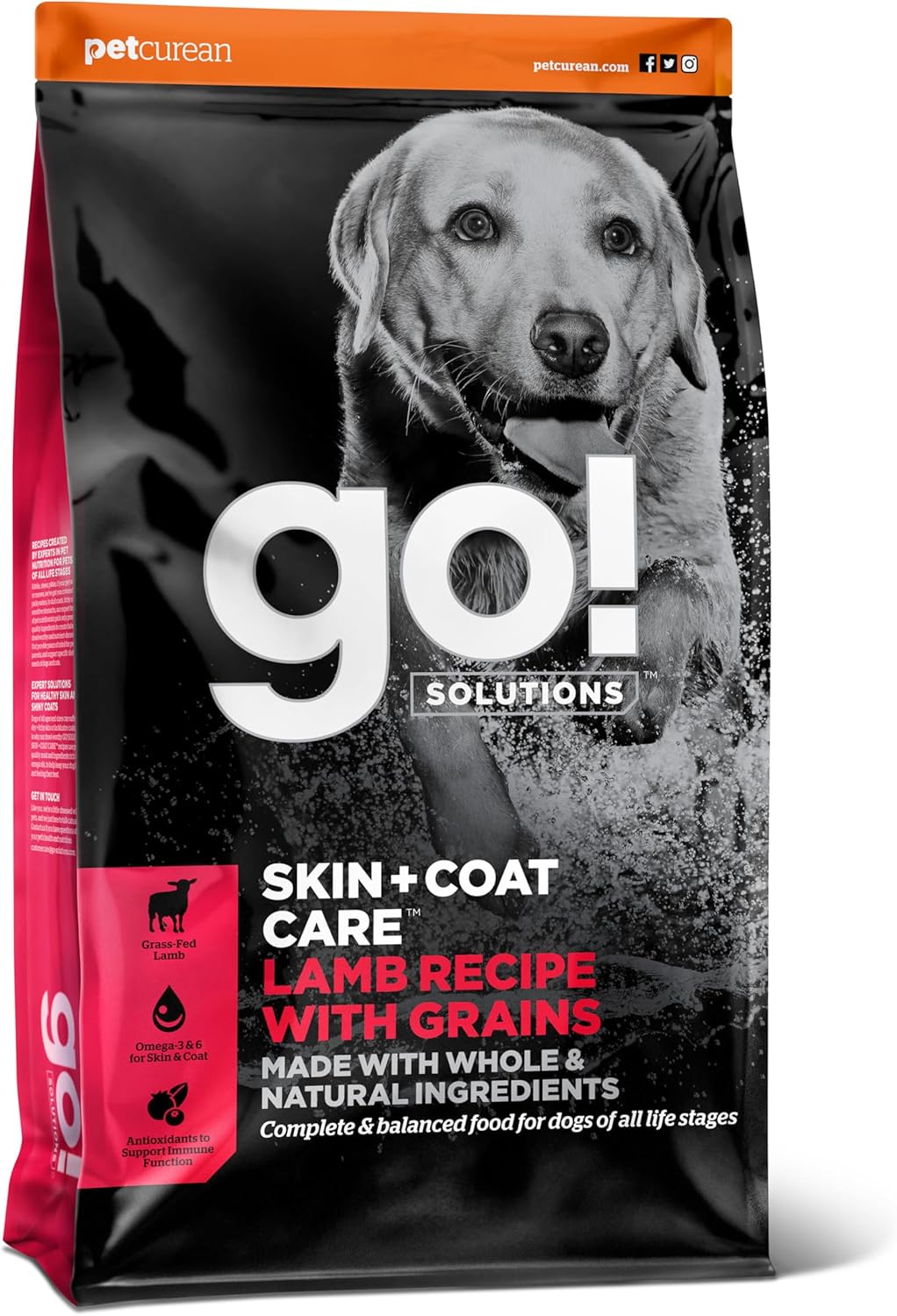 Go! Solutions Skin + Coat Care, Dry Dog Food, Lamb Recipe with Grains, 3.5 lb Bag