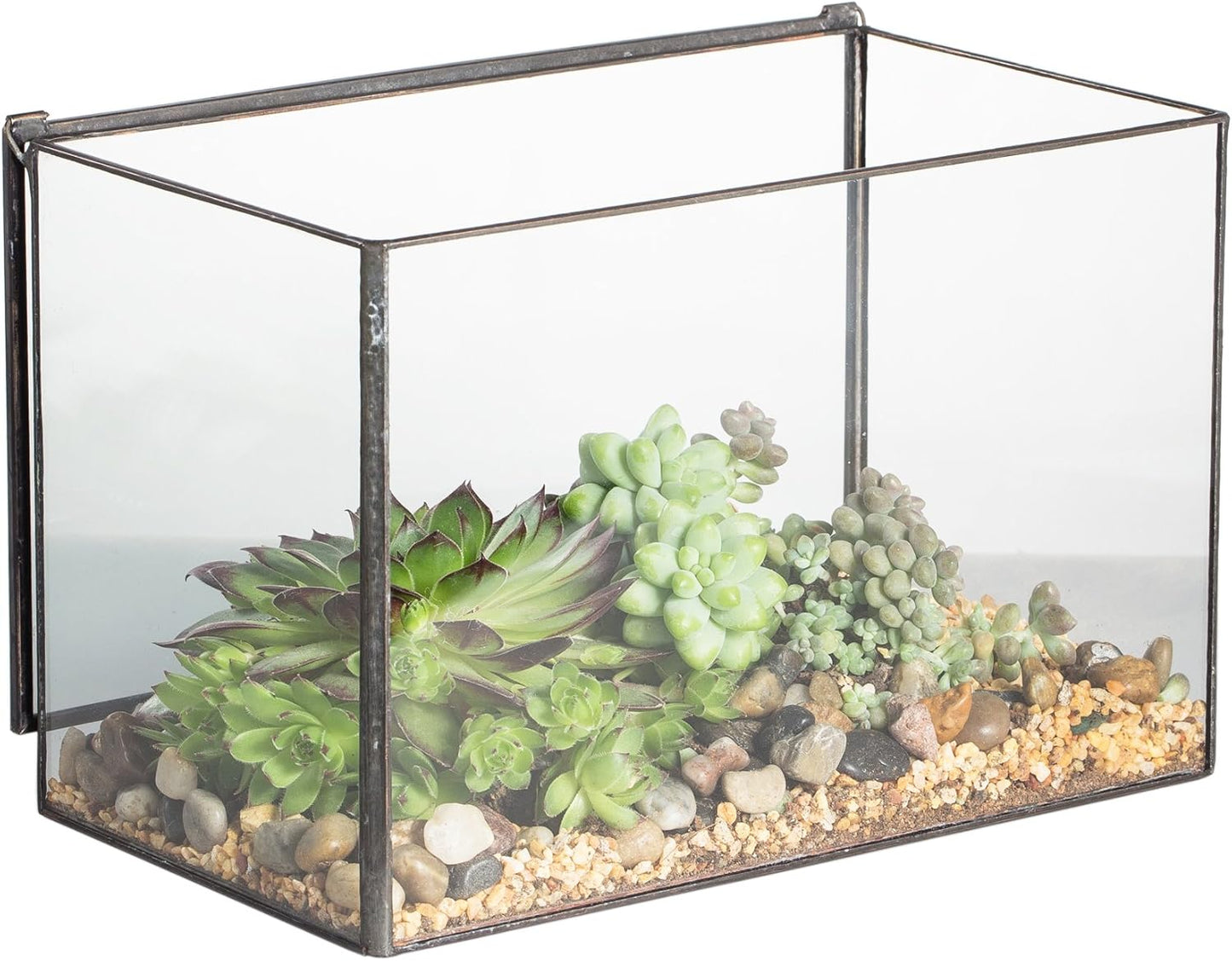 NCYP Small Rectangle Glass Terrarium Planter with Lid, 6.7 x 4 x 4.8 Inches Clear Black Geometric Flower Pot Box for Succulents Air Plant Fern, Tabletop Decoration (No Plants)