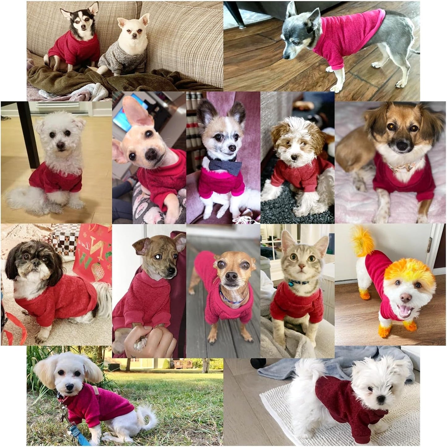 Jecikelon Dog Clothes Dogs Sweater Soft Puppies Clothing Winter Puppy Sweaters Warm Outfit for Dogs Small XXS XS Cat Apparel (Wine red, XS)