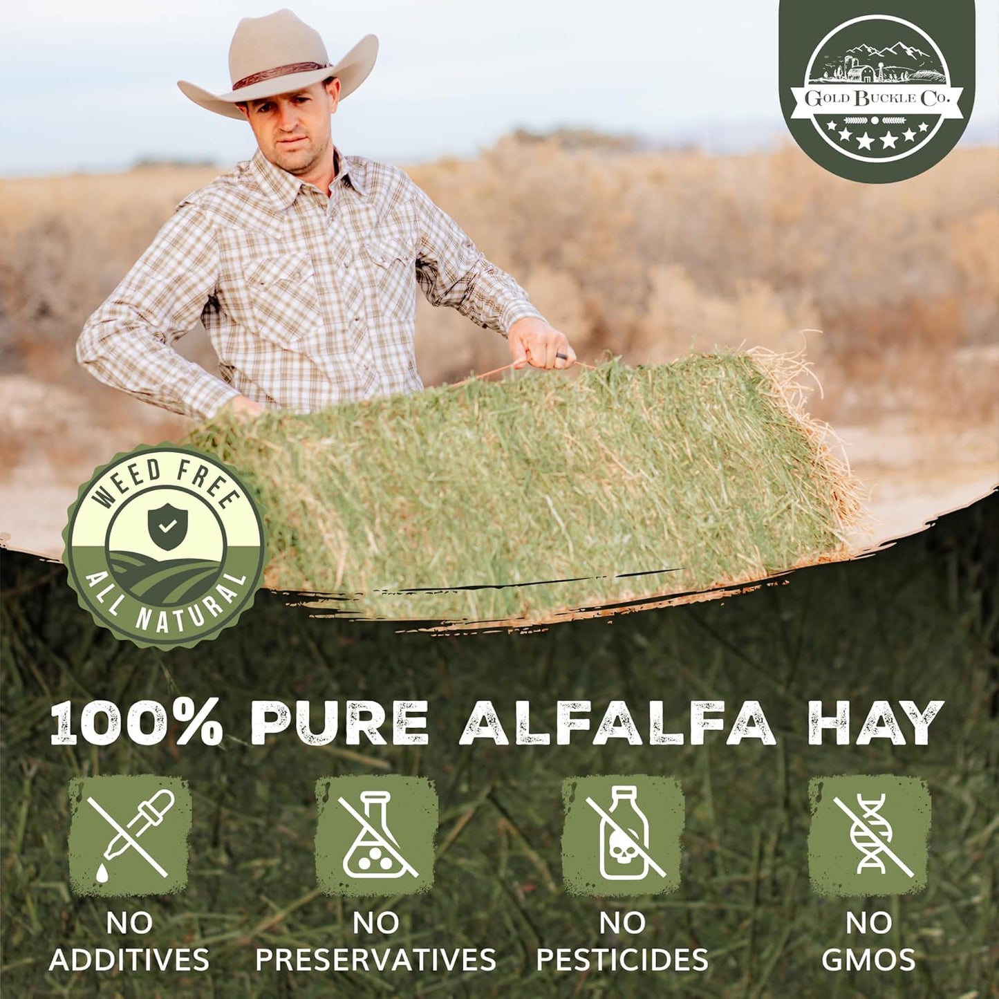 5lb Freshly Dried Organic Alfalfa Hay for Guinea Pigs, Rabbits, Chinchillas, Goats, Hamsters & Ferrets, Small Animal Food Rich in Protein & Fiber, Hand-Selected, Hand Sorted, USA Grown
