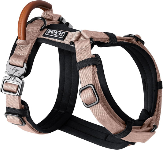 MADE TO ROAM Premium Explorer Harness - Y-Shaped Dog Harness with Adjustable Durable Nylon, Soft Padding, Metal Buckles and Leather Handle for Small, Medium, Large Dogs (Utah Glow, Size 4)
