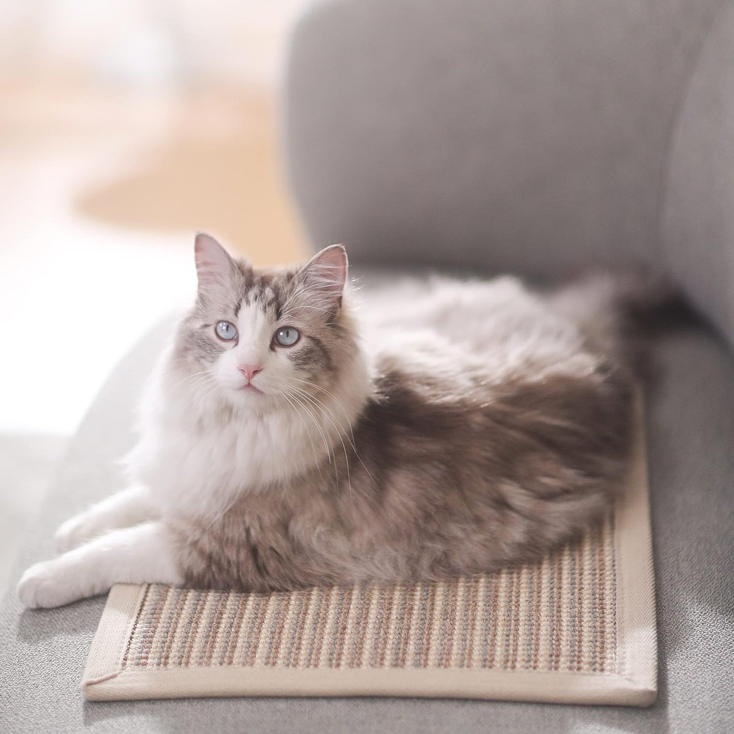 FUKUMARU Cat Scratcher Mat, 23.6 X 15.7 Inch Natural Sisal Cat Scratch Mats, Horizontal Cat Floor Scratching Pad Rug, Protect Carpets and Sofas (Cream - Thicken)