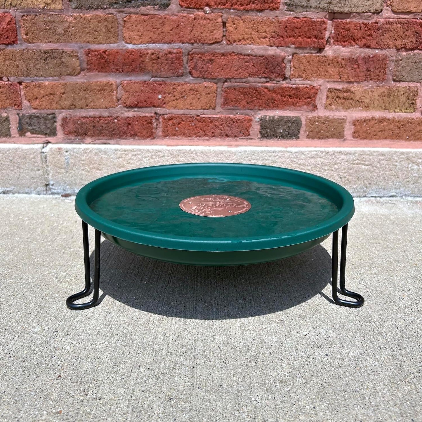 Ground Level Bird Bath - Floor Standing Bird Bath for Patio, Garden, or Deck - Black Steel Wire with Green Dish - Made in USA - Erva BA5SL