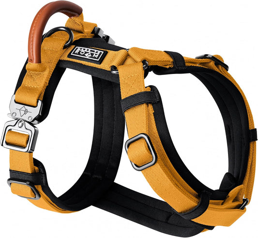 MADE TO ROAM Premium Explorer Harness - Y-Shaped Dog Harness with Adjustable Durable Nylon, Soft Padding, Metal Buckles and Leather Handle for Small, Medium, Large Dogs (Michigan Autumn, Size 5)