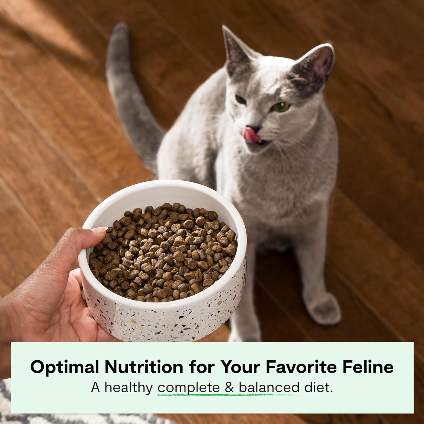 Open Farm, Grain Free Dry Cat Food, High-Protein Kibble for a Complete & Balanced Diet, Non-GMO Fruits & Vegetables, Prebiotic Fibers to Support Digestion, Pasture-Raised Lamb Recipe, 4lb Bag