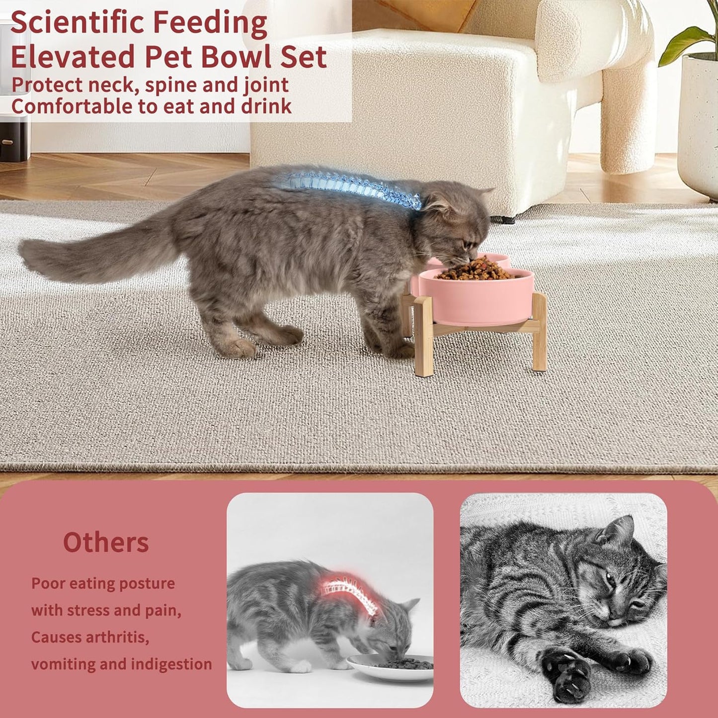 Elevated Ceramic Dog Bowl Set - Raised Feeding Bowls with Non-Slip Bamboo Stand - Small Pet Dishes for Food and Water - Ideal for Cats and Puppies - 16.23 OZ - 2 Cups - 480 ML