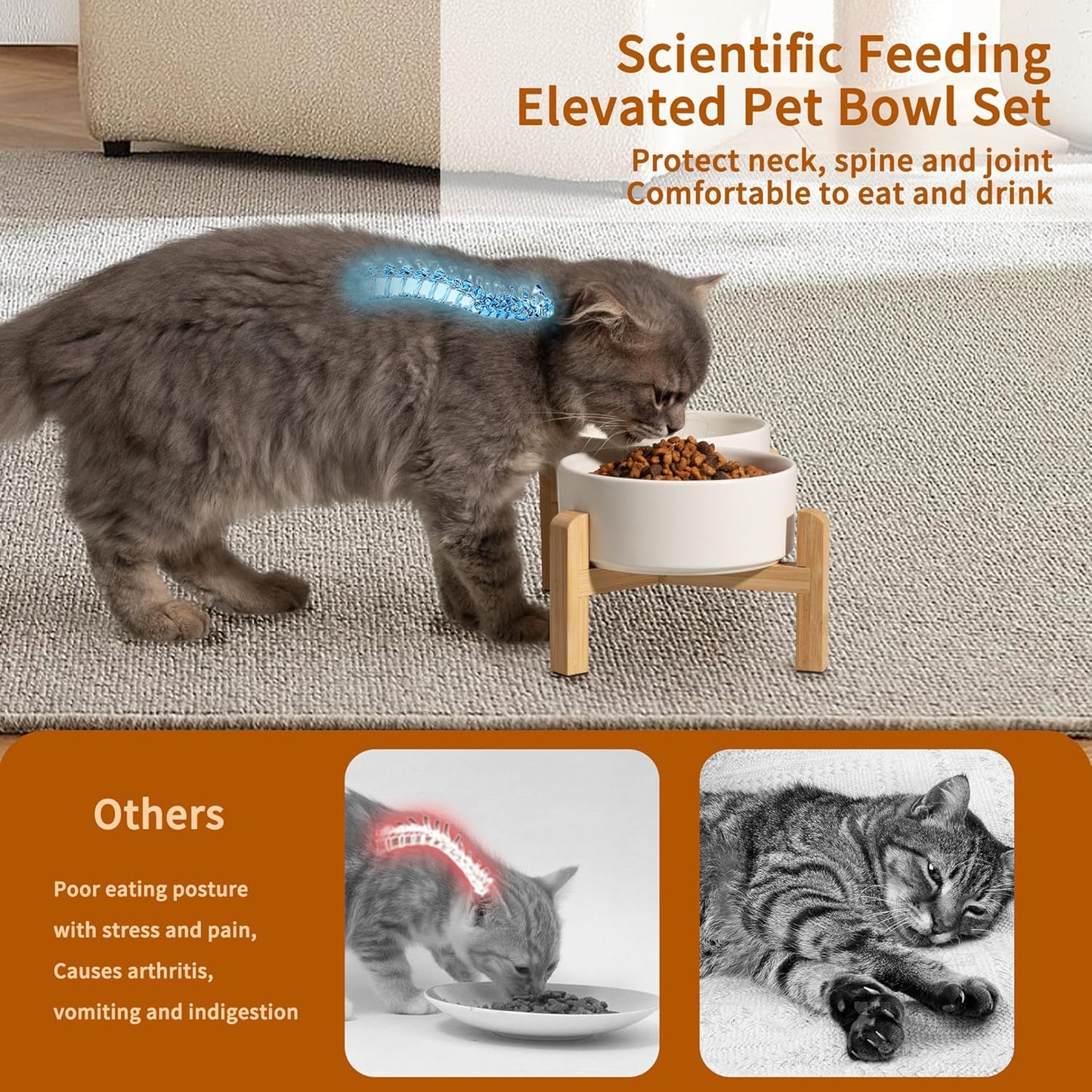 Elevated Ceramic Dog Bowl Set - Raised Feeding Bowls with Non-Slip Bamboo Stand - Small Pet Dishes for Food and Water - Ideal for Cats and Puppies - 16.23 OZ - 2 Cups - 480 ML