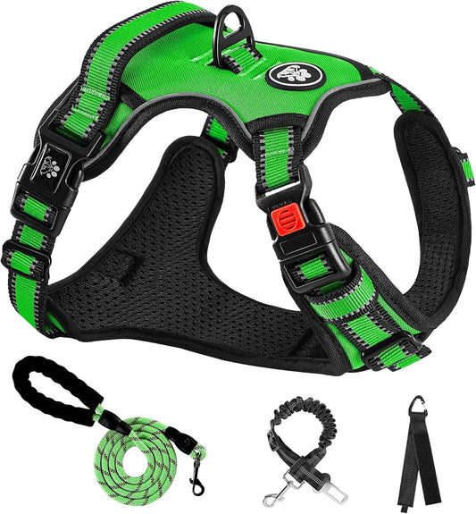 NESTROAD No Pull Dog Harness,Adjustable Oxford Dog Vest Harness with Leash,Reflective No-Choke Pet Harness with Easy Control Soft Handle for Small Dogs(Small,FluorescentGreen)