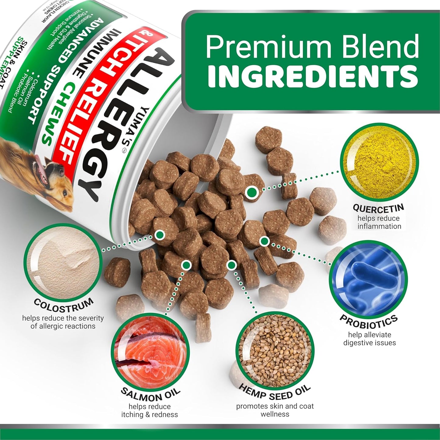 2-Pack Dog Allergy Relief Chews - Dog Itching Skin Relief Treatment Pills - Anti-Itch Chewables - Itchy and Paw Licking - Hot Spots - Omega 3 Fish Oil - Dry Skin & Coat Supplement