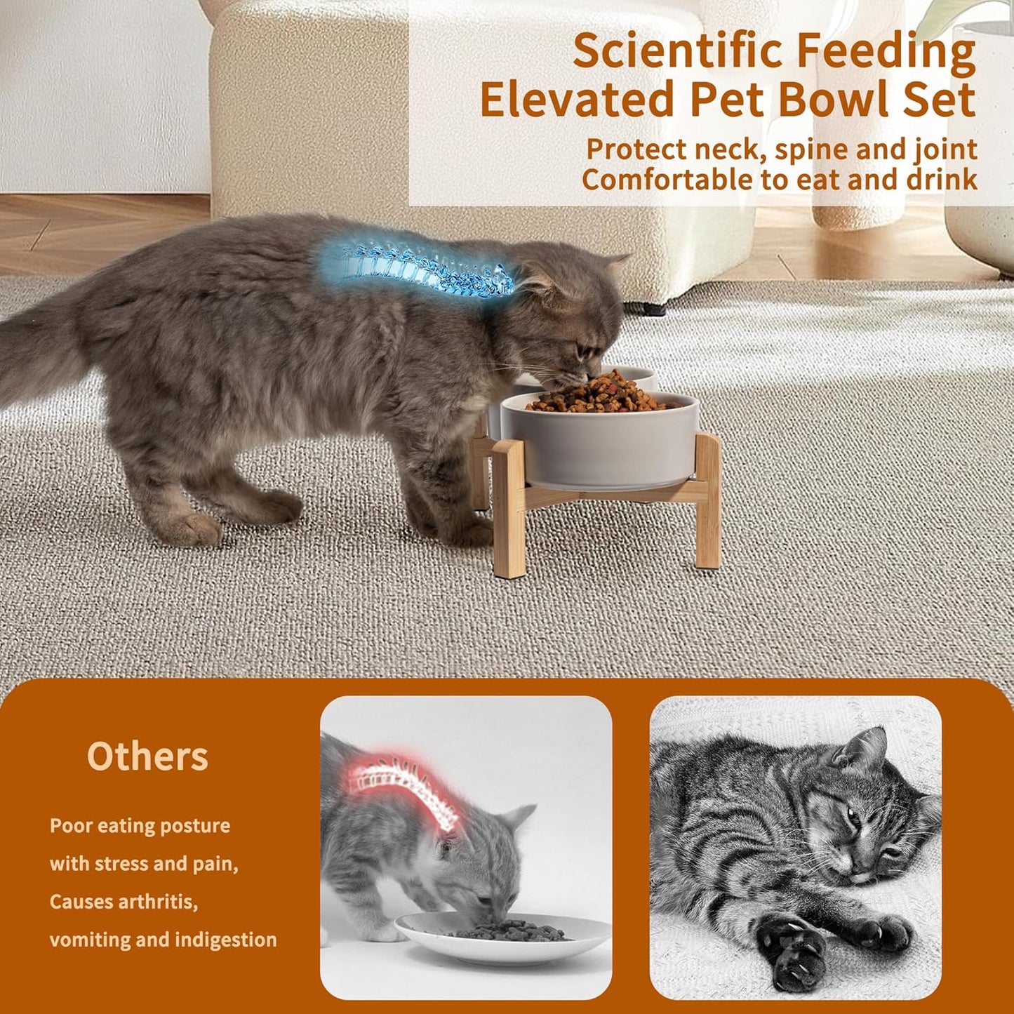 Elevated Ceramic Dog Bowl Set - Raised Feeding Bowls with Non-Slip Bamboo Stand - Small Pet Dishes for Food and Water - Ideal for Cats and Puppies - 16.23 OZ - 2 Cups - 480 ML